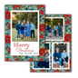 Vintage Turquoise Poinsettia Frame Christmas Cards